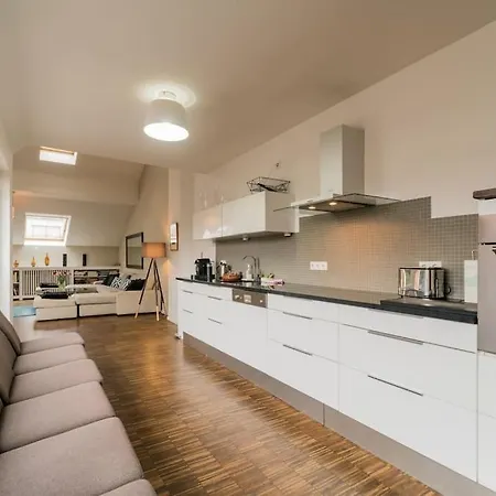 Ruhige Dachwohnung Mit Terrasse Mitte - Spacious Modern Rooftop Loft In Mitte Lägenhet